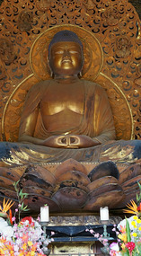 Tempel11