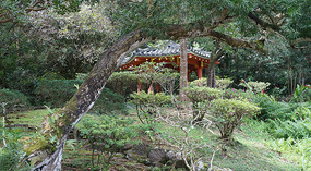 Tempel9