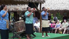Video1 Tonga (klick on the picture to run)