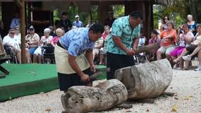 Video3 Tonga (klick on the picture to run)
