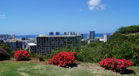 Punchbowl Crater1