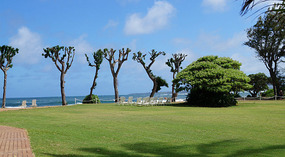 Strand1