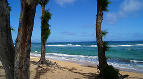 Strand2