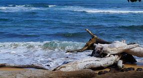 Strand5