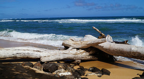 Strand6