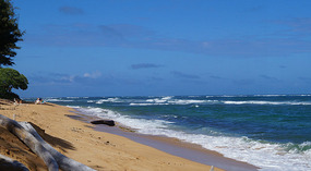 Strand7