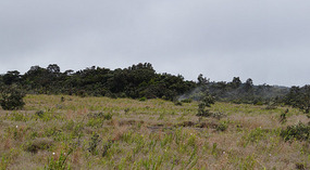 Rim Drive14