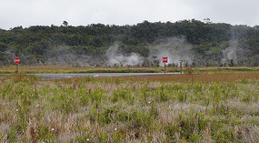 Rim Drive9