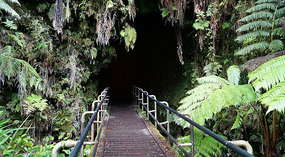 Tube4