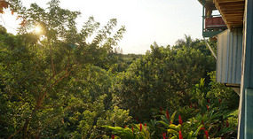 Bei Silvie7