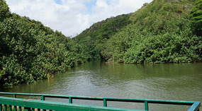 Fluss4
