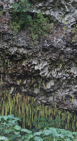 Grotte10