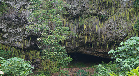 Grotte7