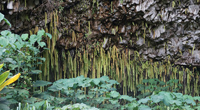 Grotte9