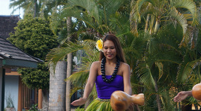 Hula3
