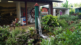 Koloa7