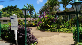 Koloa8