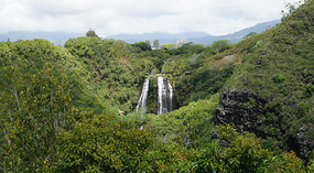 Opaekaa1