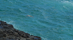 Spouting Horn7