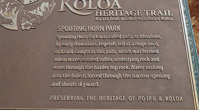 Spouting Horn9
