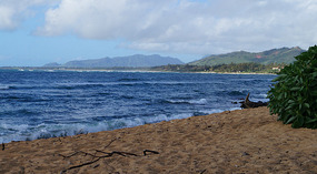 Strand1