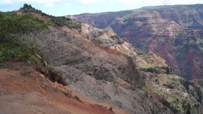 Video Waimea Canyon