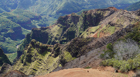 Waimea Canyon15