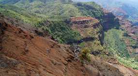 Waimea Canyon21