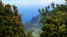 Waimea Canyon23