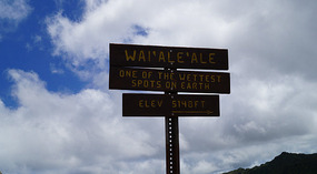 Waimea Canyon24