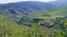 Waimea Canyon3