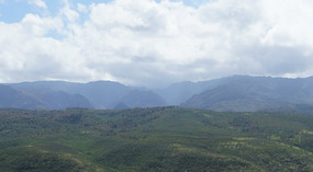 Waimea Canyon5