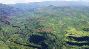 Waimea Canyon7