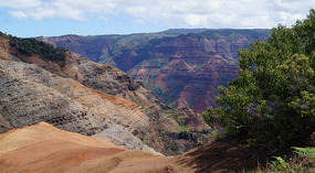 Waimea Canyon8
