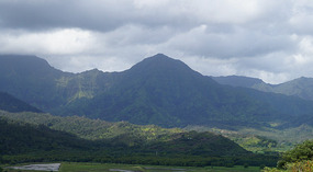 Taro3
