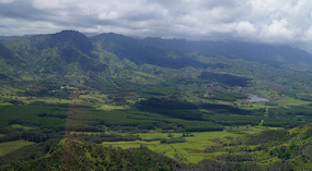 Heli11