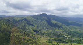 Heli13