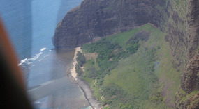 Heli29