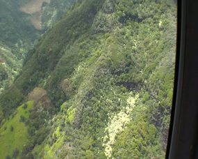 Video Heli 4