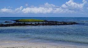Honokohau Bay1