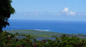 Blick1