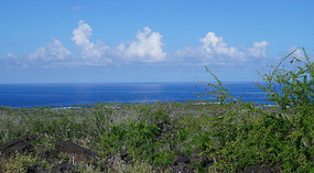 Lookout1