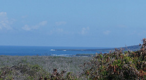 Lookout2