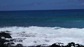 Video Alii
