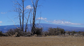 Recreation Area5