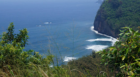 Kapaau1