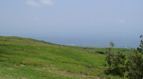 Grün1