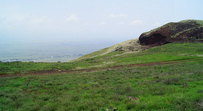 Grün3