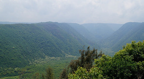 Kapaau5