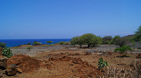 Lapakahi3